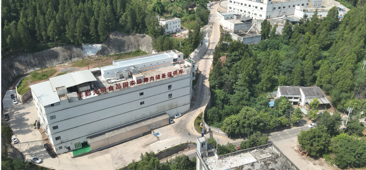 现代化屠宰车间